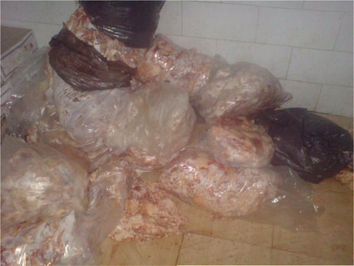 تصویر شماره 7 ضایعاتی که جهت استحصال خمیر جمع آوری شده بود