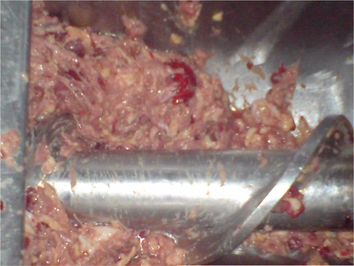 تصویر شماره 8 دهانه یک بادر که امعاء واحشاء درآن به وضوح دیده می شود.