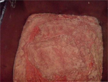 تصویر شماره 9 خمیر استحصال شده توسط دستگاه بادر 
