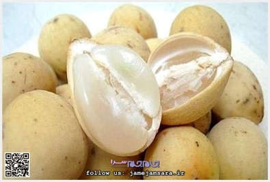 Langsat لانگست
زادگاه اصلی آن مالزی و ویتنام و تایلند است. از نظر ظاهری به شکل تخم مرغ، و طعم این میوه شبیه گریپ فروت و انگور، اما از آنها شیرینتر است.