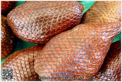 Salak سالاک
زادگاه اصلی آن مالزی و اندونزی است و به دلیل شبیه بودن پوسته آن به پوست مار Snake-fruit مار میوه هم نامیده میشود. از حیث طعم شبیه سیب است، اما نوع ترش آن هم وجود دارد.