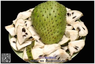 Soursop السورسوپ
زادگاه اصلی آن مکزیک و آمریکای مرکزی است. این میوه سرشار از ویتامین C و B۱ و B۲ است و از آن در تهیه بستنی استفاده میشود.