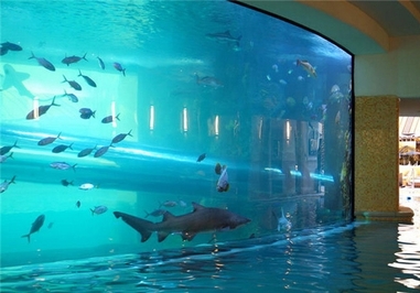 استخر آکواریوم طلایی در لاس وگاس – آمریکا