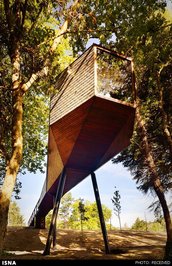 خانه لانه مار - پرتغال