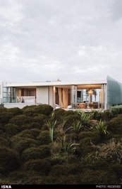 خانه شنی - نیوزلند