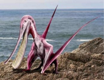 پترودوسترو/
این پرنده که ۴بال ۴ فوتی دارد، با ۵-۱۰ پوند وزن، نزدیک‌ترین خویشاوند فلامینگو است. دندان های مسواکی شکل‌اش جهت فیلتر کردن پلانکتون و سایر موجودات ریز کاربر داشته است.
 