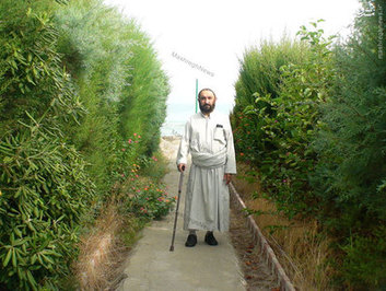 استاد علی دوانی در واپسین سالیان حیات