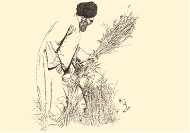 رهبر معظم انقلاب در جهاد سازندگی