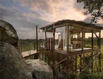 آفریقا: هتل درختی