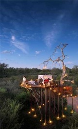 آفریقا: هتلی مخصوص شکارچیان