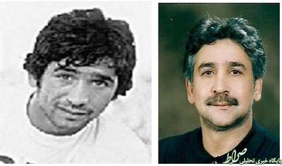 ايرج دانائي فرد