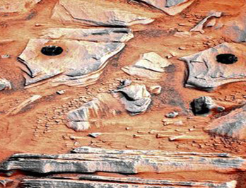 پناهگاه سلولی مریخ