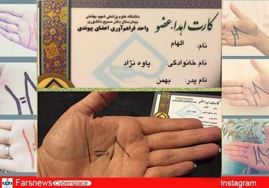 الهام پاوه نژاد، بازیگر