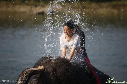 فیل سواری توریست ها در نپال  (Zuma Press)