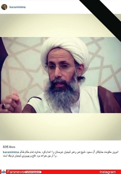  نیما کرمی، مجری