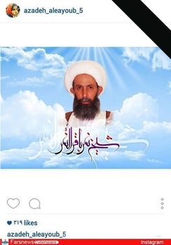  آزاده آل ایوب(خاله نرگس)، مجری