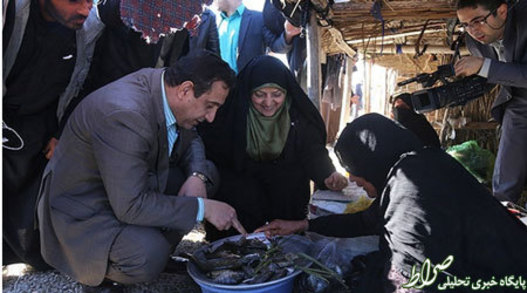 از اینا بخور جون بگیری، هوا را پاک کنی