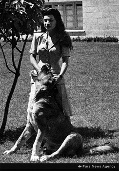2- اشرف پهلوی و سگ دست آموزش در کاخ سعد‌آباد