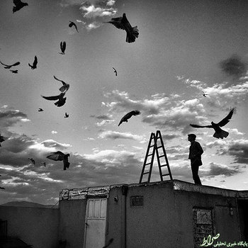 كبوتربازى در حال تماشاى کبوترهای مسابقه‌ای‌ش در قروین. عکس از زینب آهنگر