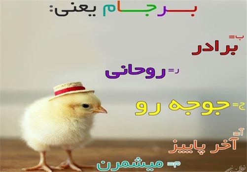 *معنای اصلی برجام