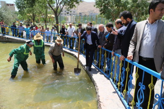 نشان دادن عمق کم حوضچه