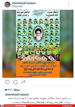  حسن شمشادی، خبرنگار