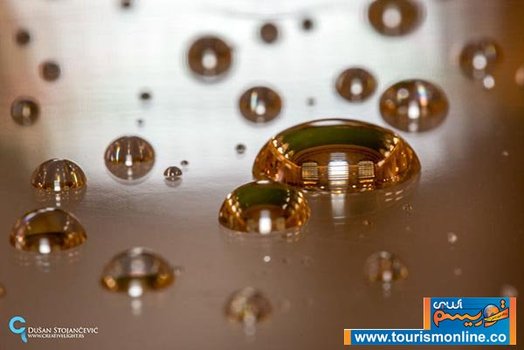 ایستگاه مرکزی ،نیویورک