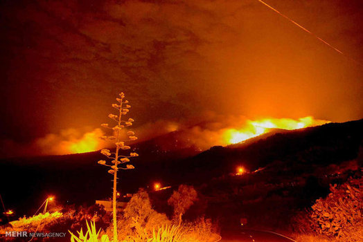 ادامه آتش سوزی جنگل های اسپانیا (EPA)