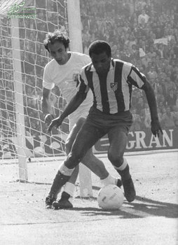 لوییس پریرا