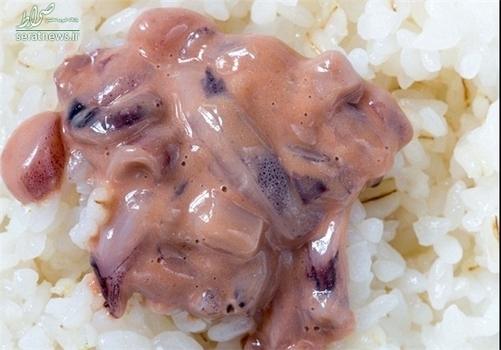  شیئوکارا: خوراکی ژاپنی که از جانوران دریایی تهیه می‌شود و با سس ویژه‌ای که از تخمیر بدن همان جانوران به دست می‌آید، سرو می‌شود.