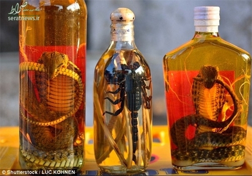  نوشیدنی مار و عقرب: مردم روستایی در ویتنام زهر مار و عقرب را توسط الکل می‌گیرند و برای درمان مشکلات جسمی نظیر روماتیسم و کمردرد از آن استفاده می‌کنند.