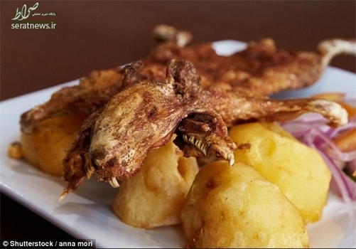  خوکچه هندی کبابی غذای محبوب بخش‌هایی از آمریکای جنوبی و به خصوص پرو