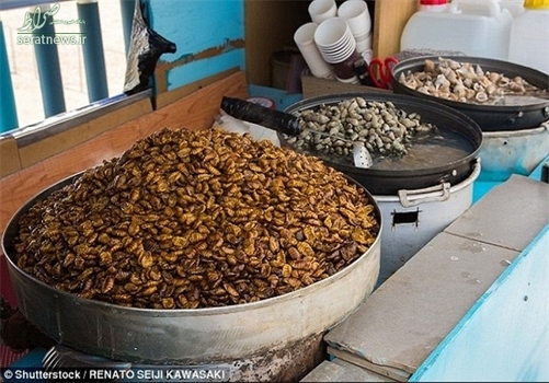   خوراک خیابانی در کره جنوبی که از کرم ابریشم تهیه و به عنوان میان‌وعده خورده می‌شود.