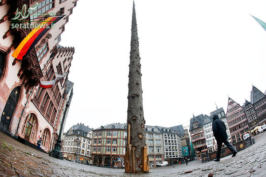 درخت کریسمس 30 متری در رومربرگ مرکز فرانکفورت آلمان که فقط تنه آن باقی مانده است