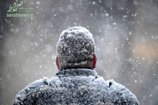 بارش برف پوتسدام در مرکز ایالت براندنبورگ آلمان