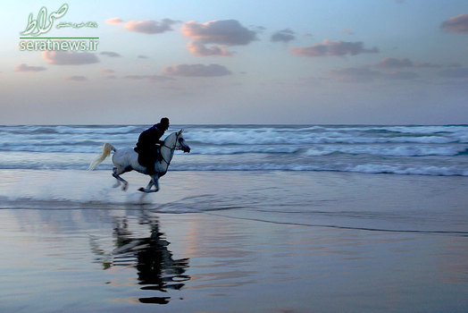 اسب سواری جوان فلسطینی در امتداد دریای مدیترانه در ساحل شهر غزه