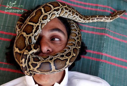 نبیل موسی مرد فلسطینی که برای سرگرمی مار و عقرب نگهداری می‌کند و آنها را می‌خورد