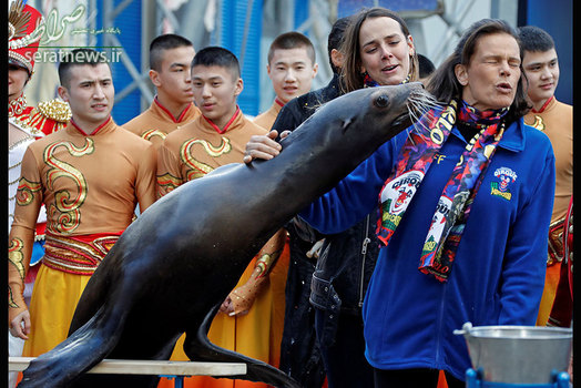 تلاش یک شیر دریایی برای بوسیدن شاهدخت استفانی فرزند آخر رینیه سوم شاهزاده موناکو