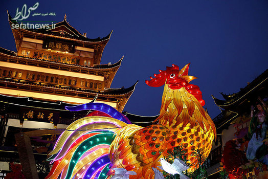 یک خروس بزرگ در آستانه جشنواره بهار - شانگهای، چین