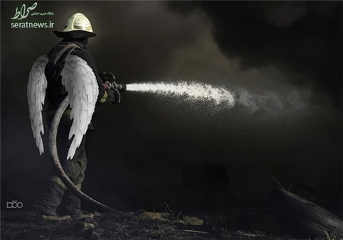 اثر علیرضا کریمیمقدم