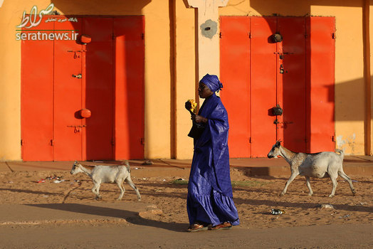پیاده روی یک زن با دو بز در خیابان سرکوندا گامبیا