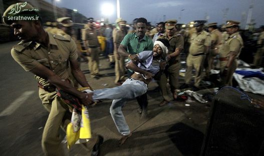 بازداشت یک معترض به مراسم سنتی رام کردن گاو نر - چنای، هند