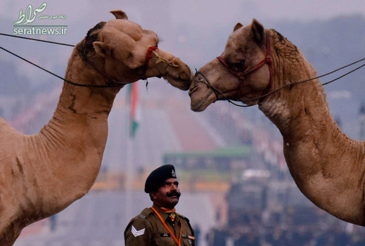 در حاشیه رژه روز جمهوری در هند