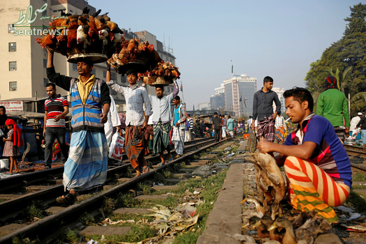 فروشندگان خیابانی مرغ در بنگلادش