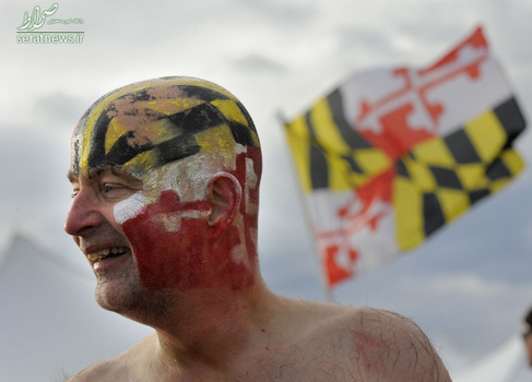 المپیک شیرجه مریلند با عنوان خرس قطبی