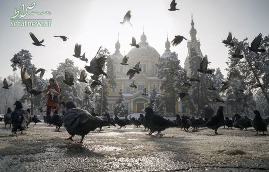 پذیرایی از کبوترها مقابل  کلیسای جامع ارتدوکس قزاقستان