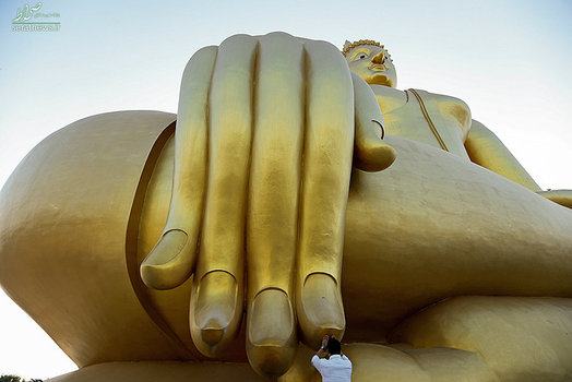یک مرد که دست مجسمه بزرگ بودا را در جشن تعالیم بودا گرفته در حال دعا کردن است - آنگ تونگ، تایلند