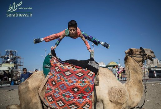  محمد الشیخ پسر 12 ساله فلسطینی که به پسر عنکبوتی معروف شده