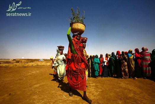 زنان سودانی در حال حمل سبد در 60 کیلومتری شهر الفاشر