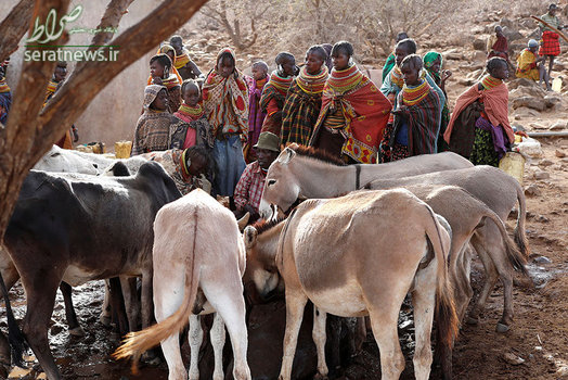 زنان قبیله تورکانا در کنیا منتظر هستند تا پس از سیراب شدن الاغ ها آب بردارند